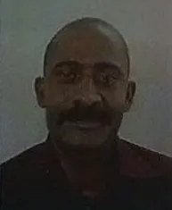 P. Manickavasahan